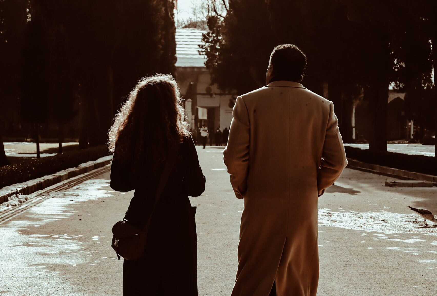 pexels-aysin-11055146